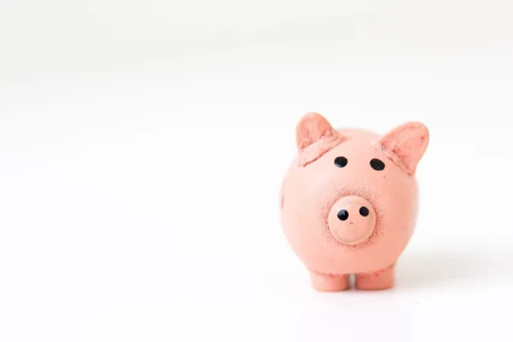 Piggy bank 1024x683
